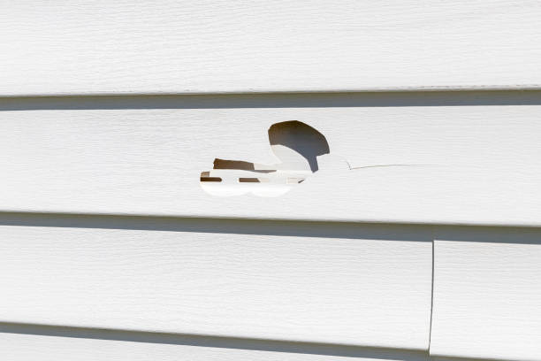 Affordable Siding Repair and Maintenance Services in Sag Harbor, NY